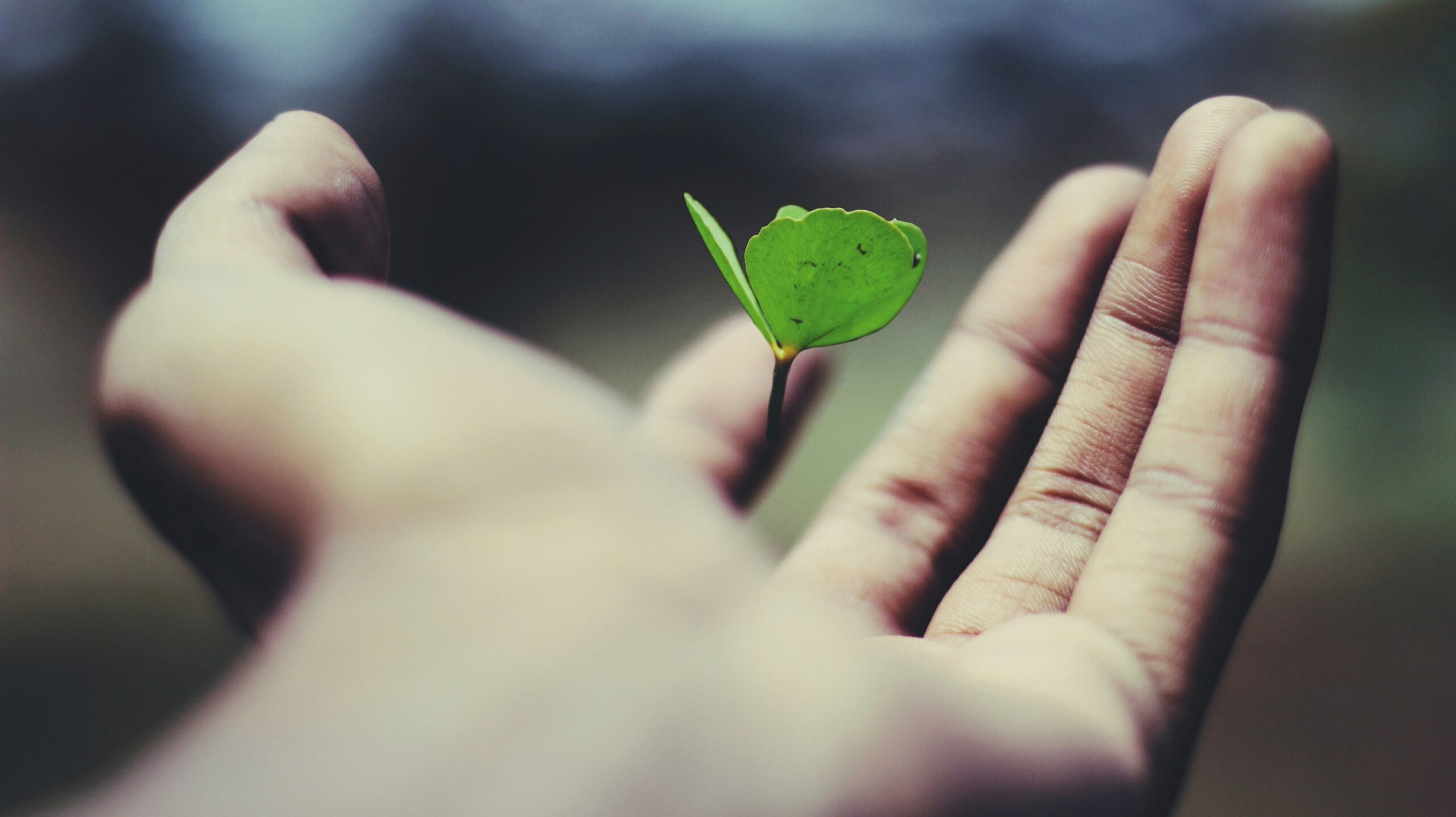 Energetic Trauma Healing TM - Energetisches Trauma Coaching